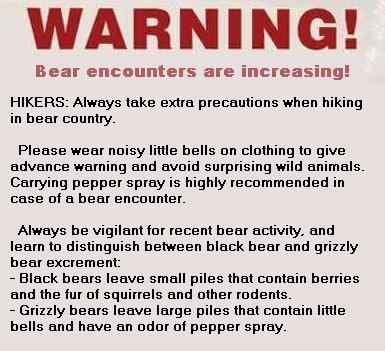 bear-encounters-jpg.200042