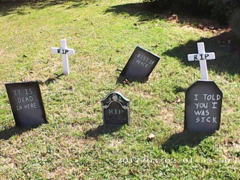 graves.jpg
