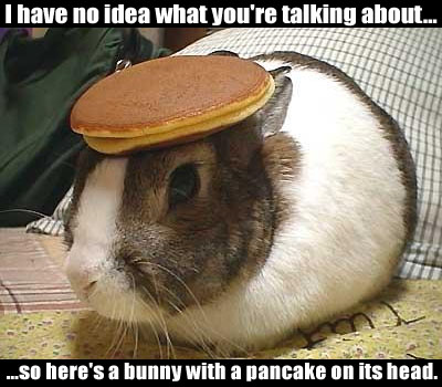 oaktownheidi.com_wp_content_uploads_2010_03_bunny_with_pancake_on_its_head.jpg