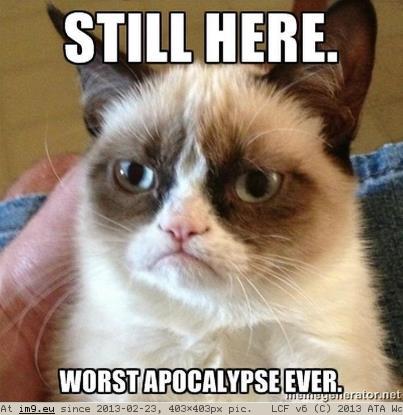p.im9.eu_grumpy_cat_still_here_worst_apocalypse_ever.jpg
