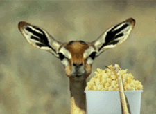 www.reactiongifs.com_wp_content_gallery_popcorn_gifs_nommer.gif